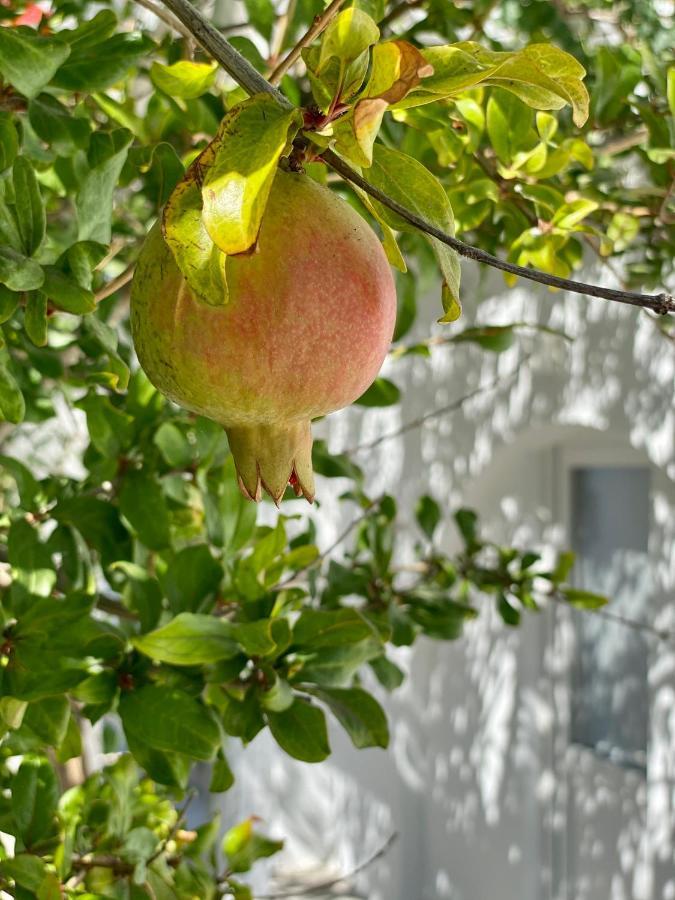 Maria Elena - Suite Home Mykonos Town Eksteriør billede